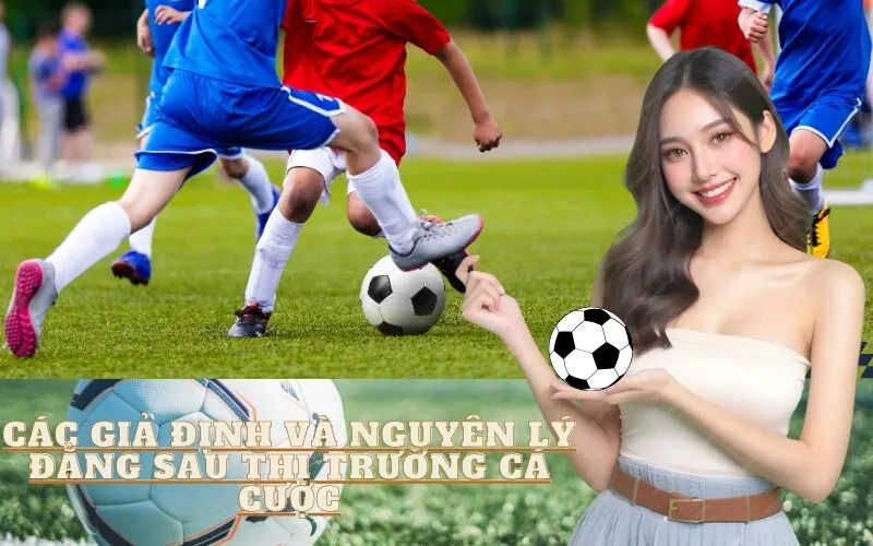 Các Giả Định Và Nguyên Lý Đằng Sau Thị Trường Cá Cược