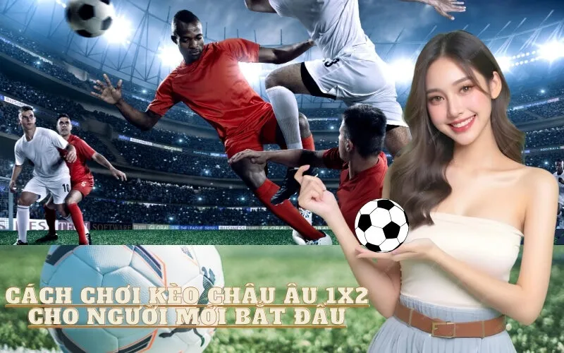 Cách Chơi Kèo Châu Âu 1X2 Cho Người Mới Bắt Đầu